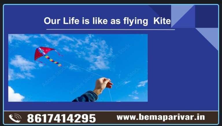 Image for Fight of Life As Flying Kite.